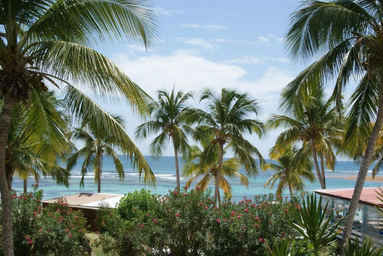 Studio Bleu Coco Saint-Francois  Exterior photo